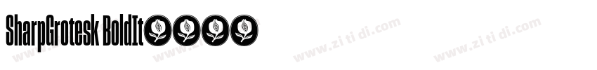 SharpGrotesk BoldIt字体转换
